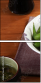 45217675