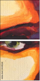 45492260