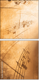 45515921