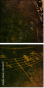 45516171