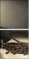 45539882