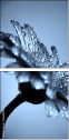 45608102