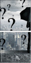 45925119