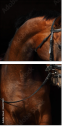 46187059