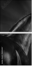 46196337