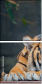 46669646