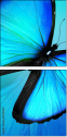 47013557