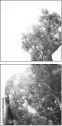 47020348
