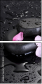 47124830
