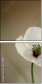 47729615