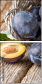 47791254