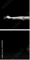 47804605