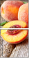 47838116