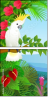 47853986