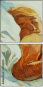 48308195