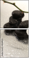 48368424