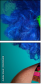 48435608