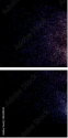 48449228