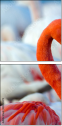 48485872