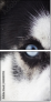 48885993