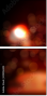 49026303