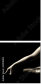 49138103