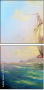 49140904