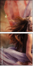 49298048