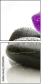 49566180