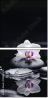 49632370