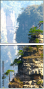 49828442