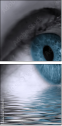 49921743