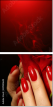 49940645