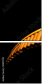 50197019