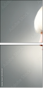 50250548