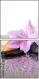 50254083