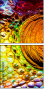 50502121