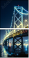 50509350