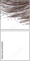 50509602