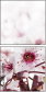50709111
