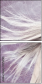 50794180