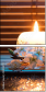 50934171