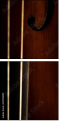 50978899