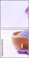 51074470