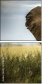 51170548