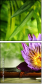 51188195