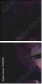 51192902