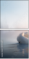 51455655