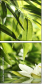 51529189