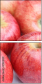 51930059